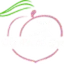 Big Peach Gym logo