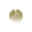 Evolutions by Coppermine logo