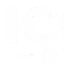 Icon Gym logo