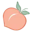 Peaches Fitness Club logo