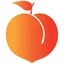 Posh Fit - Boca Raton logo