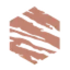 Salt Health logo