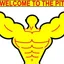 Welcome to The Pit logo